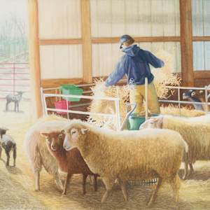 Sheep by Madeline Daversa