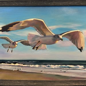 Seagulls in Flight by Stephanie Erdel-Laws 