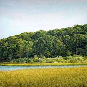 East End Sunset by Mary McKenna Ridge