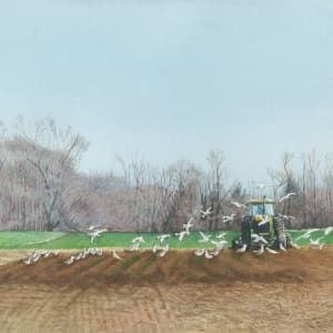 White Birds by Madeline Daversa