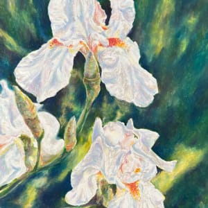 White Irises by Eileen Baumeister McIntyre
