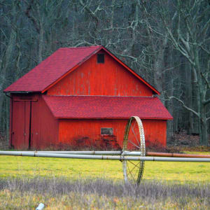 Winter Barn by Susan Saunders