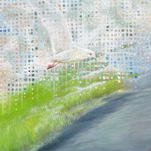 Bird Song by Linda Pasca