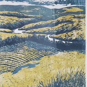 The Hills by Peter Johnson