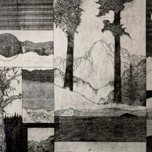 Colorado Trail by Frank Nichols