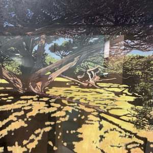 Beneath the Junipers by Michael Nicholson