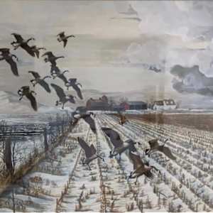 Canadian to the Home Place by Al Mannell