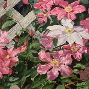 Clematis by Ellen Duncan