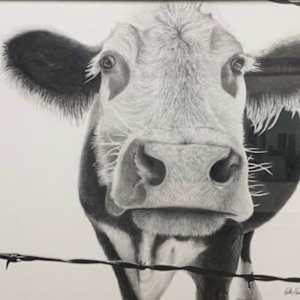 Curious Friend by Katie Long