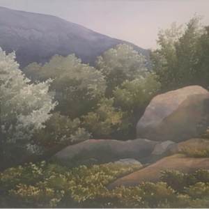 Fading Light by Susan Lynn