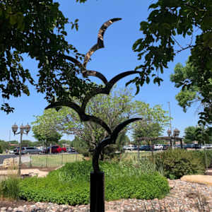 Freedom in Flight by Gary Kahle