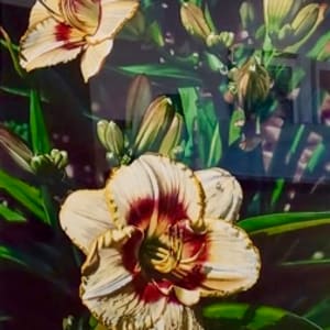 Illuminated Lace by Marlin Rotach