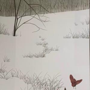 Winter Rubies by Paula Cowan-Kjorlie