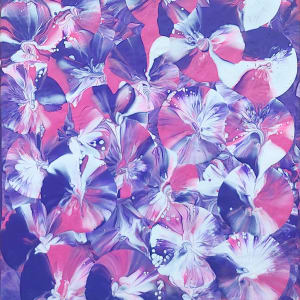 8 x 10 Deep Purple Red White Deep Blue by Wilmington Art Gallery