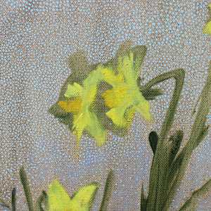 narcissus by kimberly stemler 