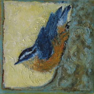nuthatch by kimberly stemler