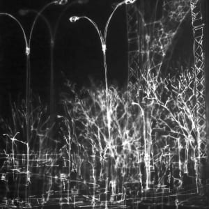 Street Lamp NYC by Helen Dennis Studio