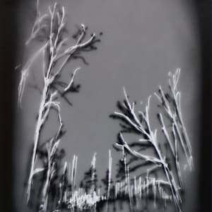 Oregon Trees I by Helen Dennis Studio