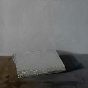 Chameleon by Samantha Haring