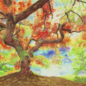 Into the Light by Pat Konicki