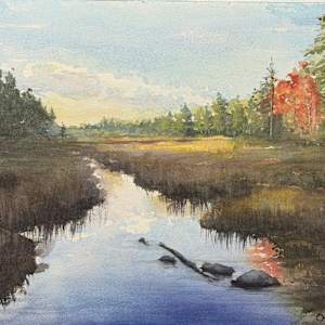 Duck Brook Autumn by Rick Osann Art