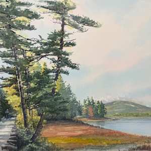 Summer Bike Ride by Rick Osann Art