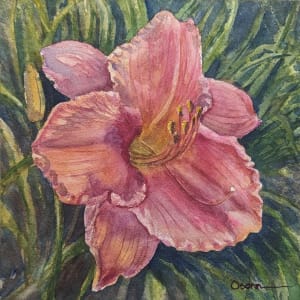 Day Lily #1 by Rick Osann Art
