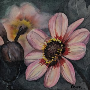Anemone #1 by Rick Osann Art