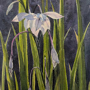Sword Lilies by Rick Osann Art, Image 1.