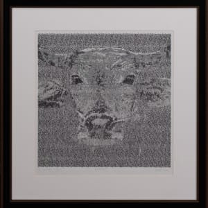 AQ169 Buffalo No.3 by Thana