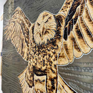 Free to Roam (25.7) by Cie Hoover