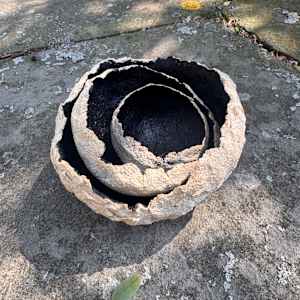 Dragonshell Vessels by Jennifer K Brown  Image: Nesting.