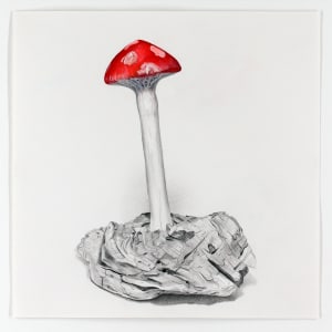 Wooden Red Mushroom: A Drawing of a Sculpture by USN Student, Liam, '25 by Melodie Provenzano 