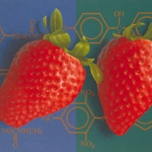 Altered Strawberries by Carlo Marcucci