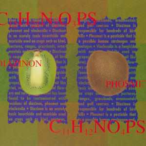 The Trouble With Kiwi by Carlo Marcucci