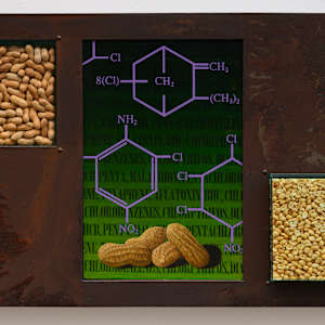 Toxaphene Peanuts by Carlo Marcucci