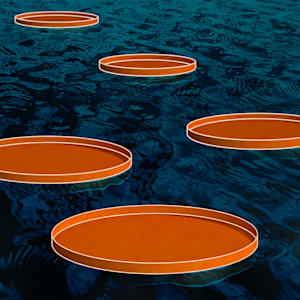 Waterlilies III by Carlo Marcucci