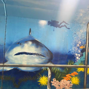 ‘Aquavale’ by Mike "Shime Arts" Barker