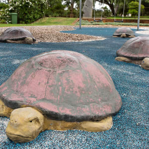 Volcano Park  - Turtles by Steve Tepper