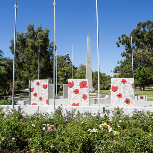 Remembrance Floral by Margaret Dillon
