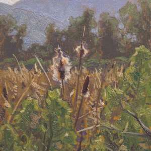 “Cattails” by Dan Schultz