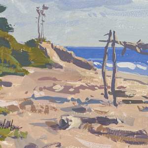 "Driftwood Shelter" by Dan Schultz