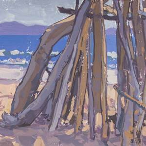 "Driftwood Structure" by Dan Schultz, Image 1.