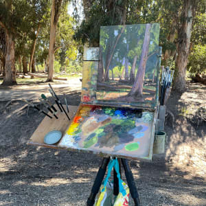 “Eucalyptus Forest” by Dan Schultz 