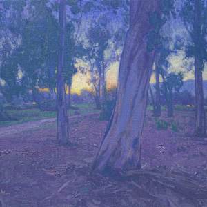"Eucalyptus Twilight" by Dan Schultz, Image 1.