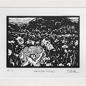 "Matilija Poppies" #2 by Dan Schultz 