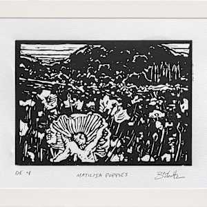 "Matilija Poppies" #4 by Dan Schultz 