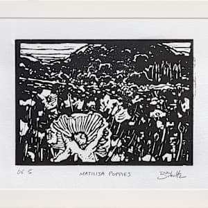 "Matilija Poppies" #5 by Dan Schultz 