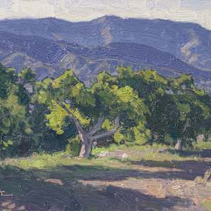 "Ojai Valley Avocados" by Dan Schultz