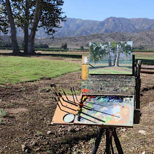 "Ojai Valley Sycamores" by Dan Schultz 